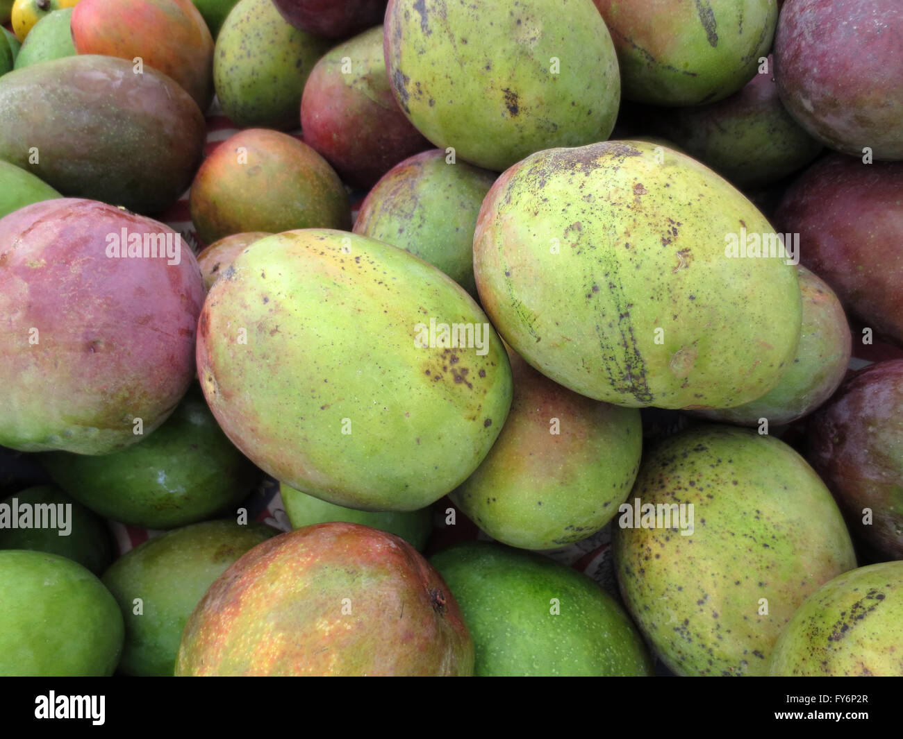 Mangos for sale at Market in Chinatown, Honolulu Stock Photo Alamy