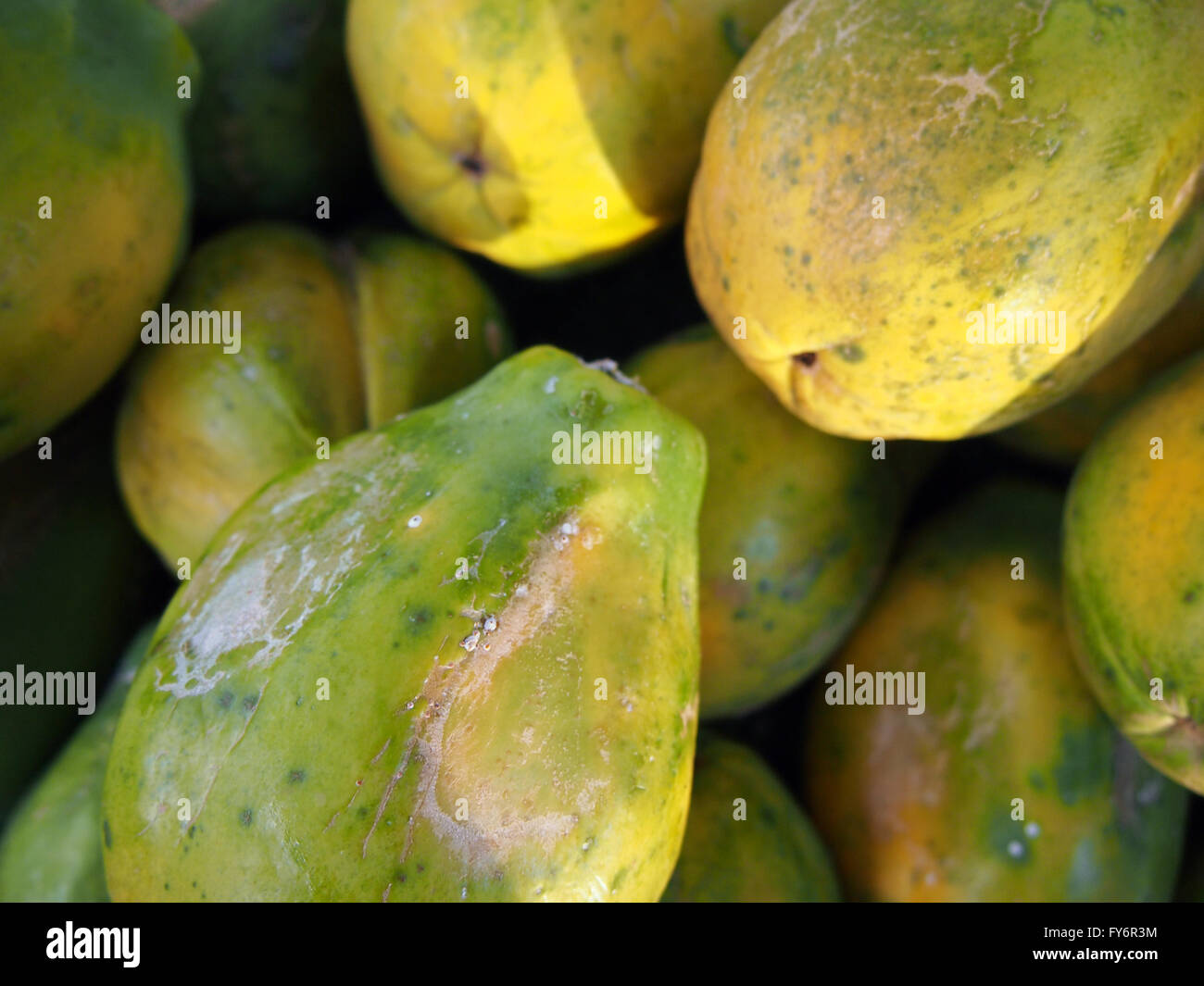 Hawaiian papaya pile at a farmer's market in Hawaii Stock Photo Alamy