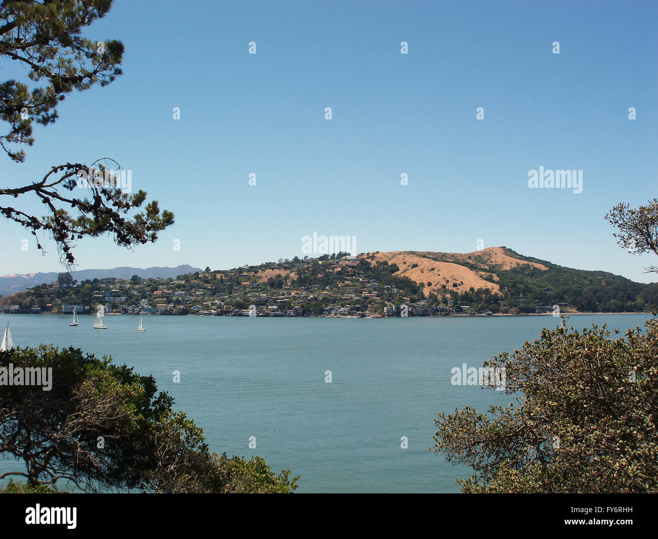 Tiburon and Bay with Sail boats viewed from Angel Island in California. Stock Photo