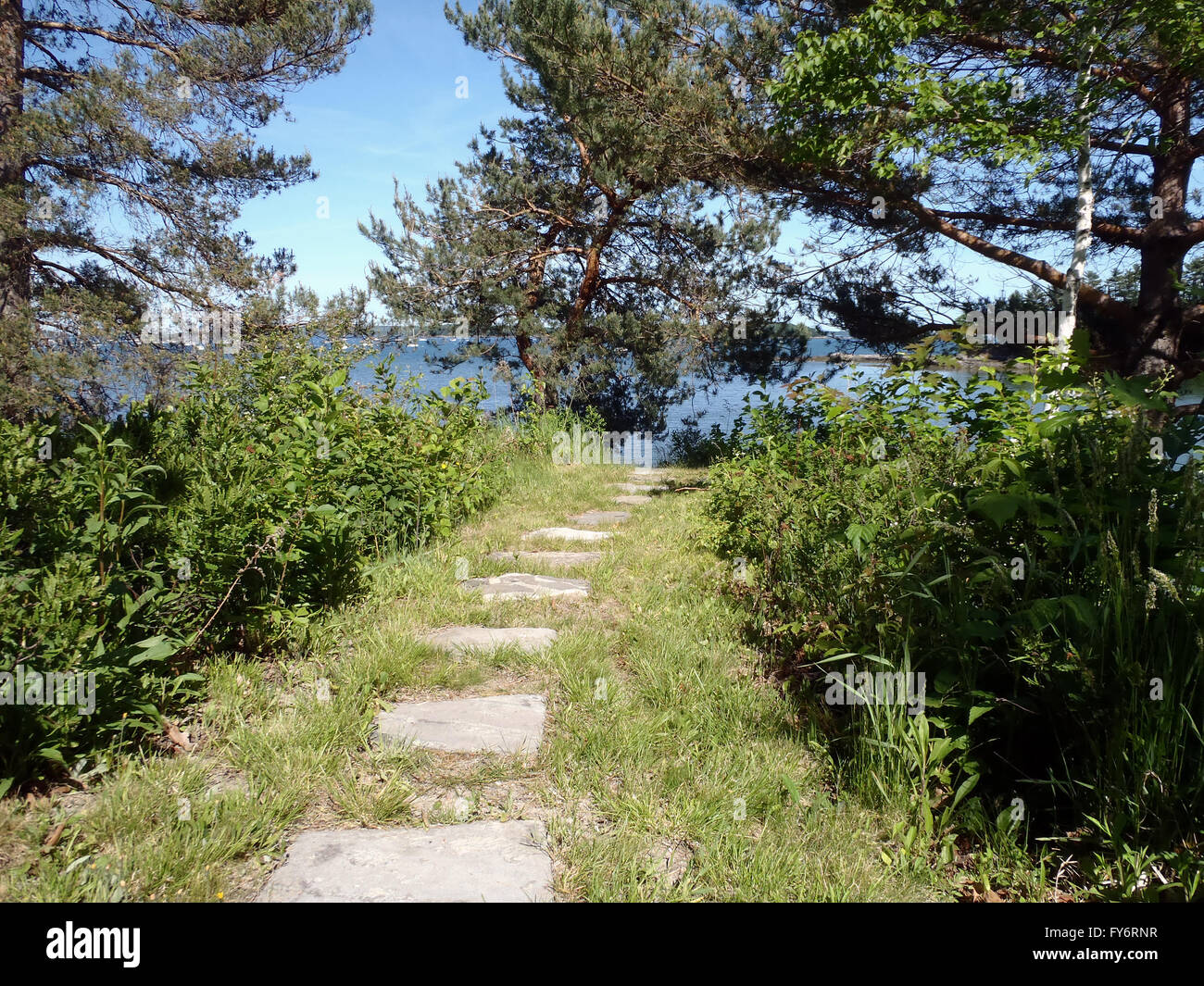 Stepping stone pathway to the water in the woods of Maine. Stock Photo