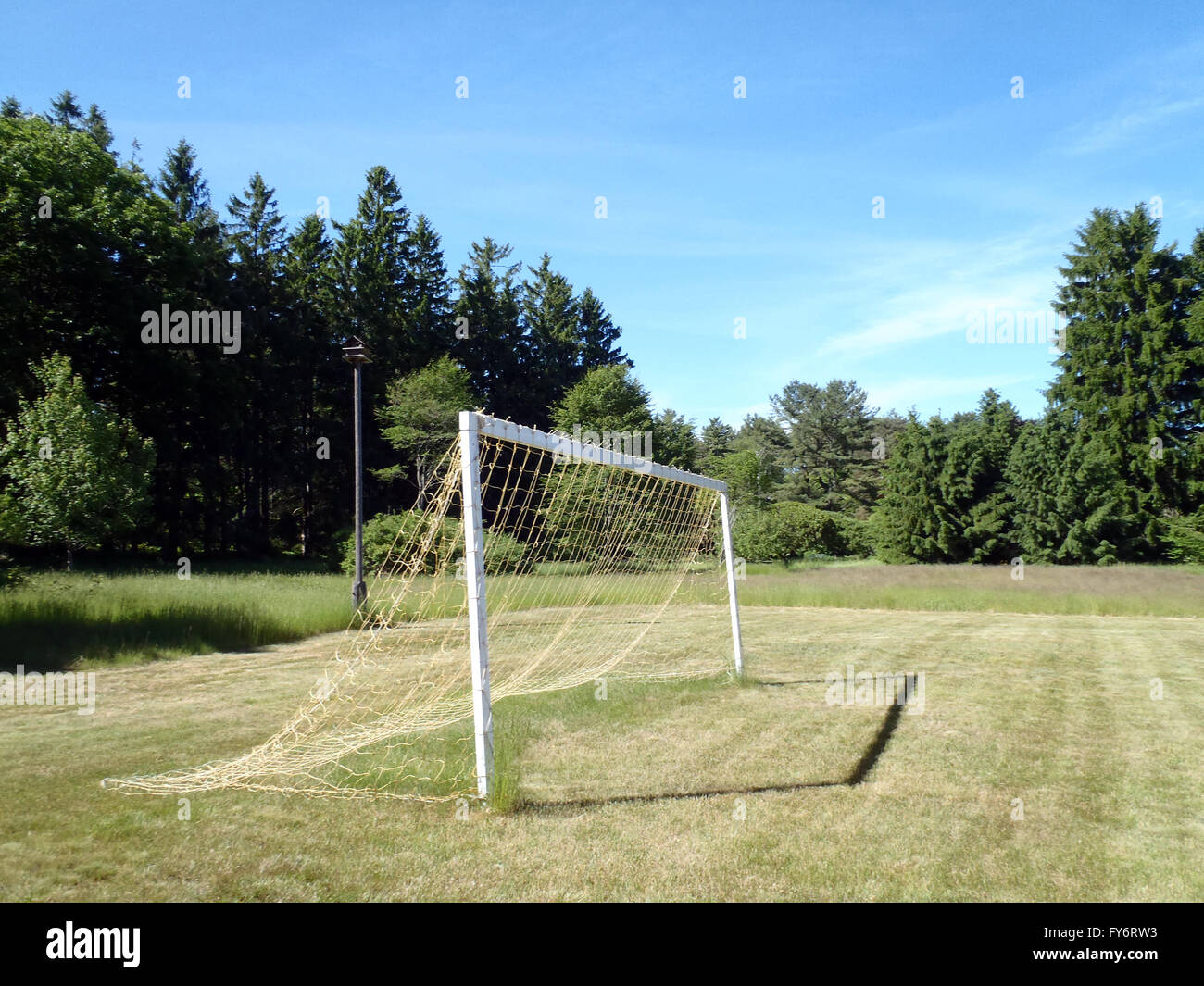 Soccer Goal with net in grassy field Stock Photo Alamy