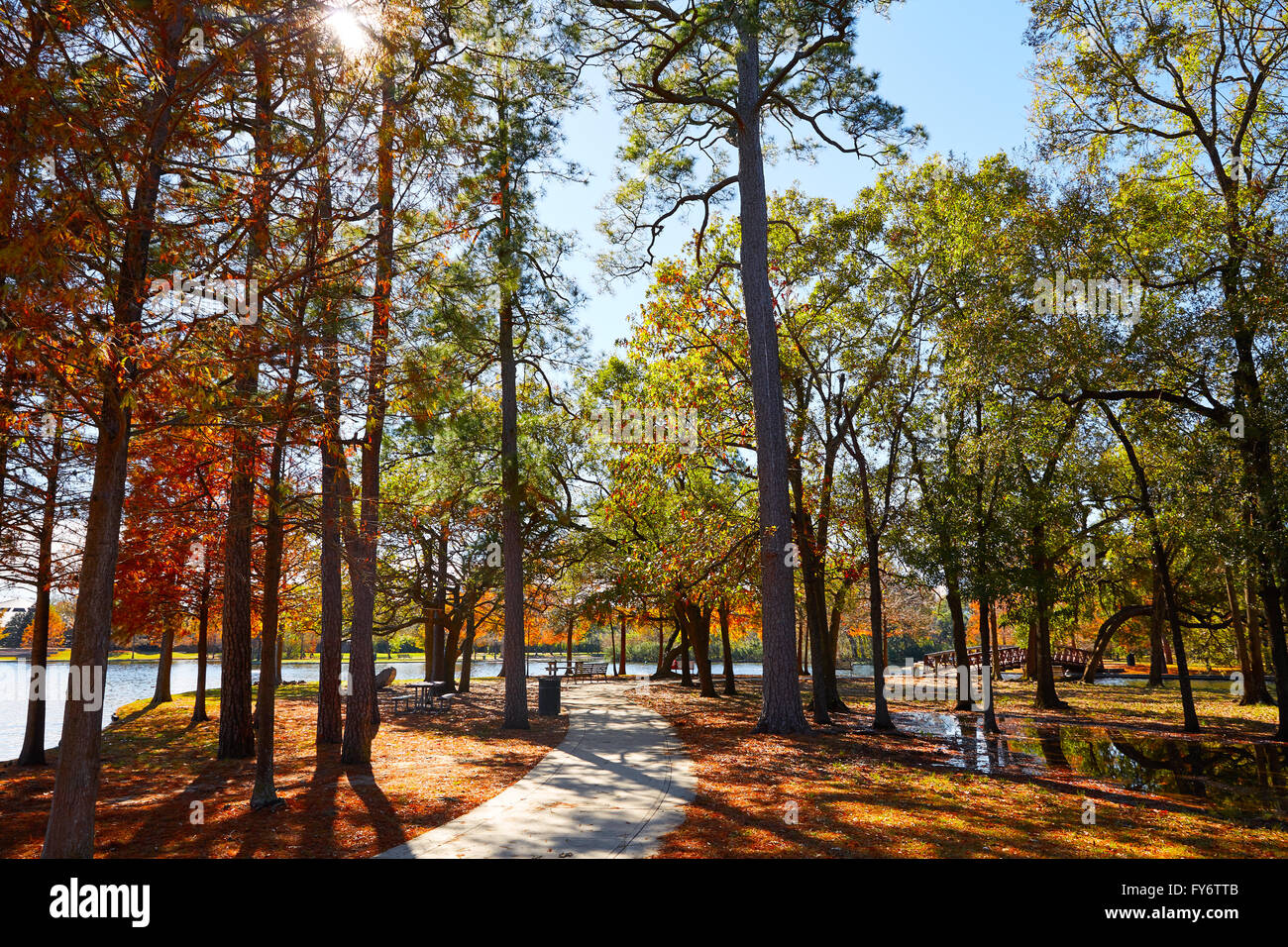 Houston Hermann park conservancy track at autumn in Texas Stock Photo Alamy