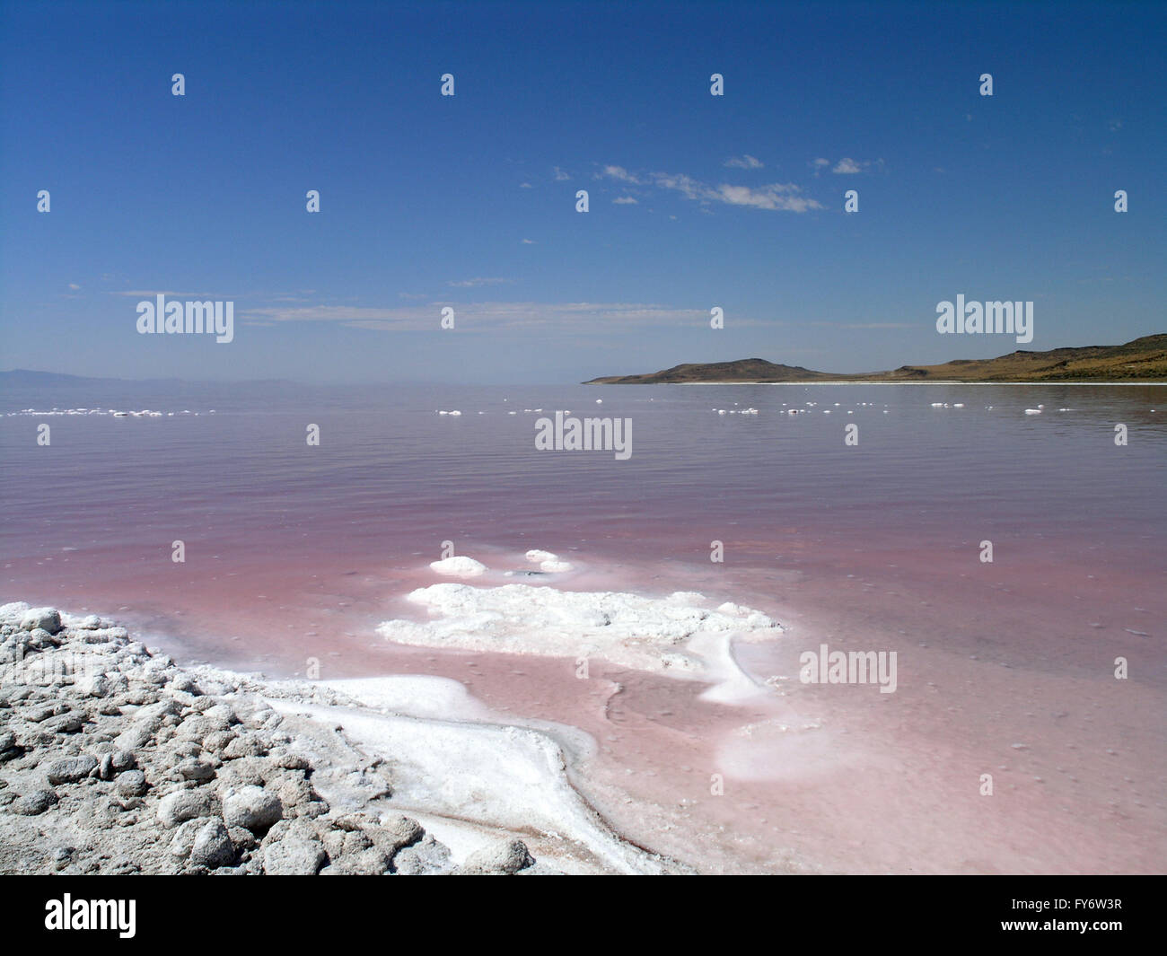 The salty shore of the great Salt Lake with mountains in the background. The water looks pink due to a special algae that grows Stock Photo