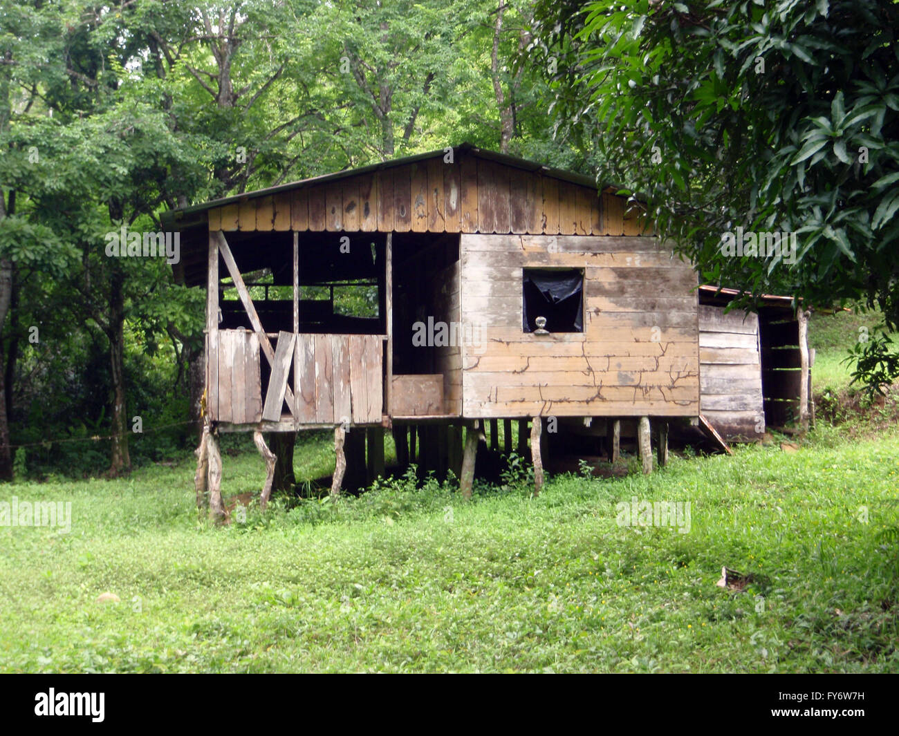 Rundown shack house in the Woods with figure head in window Stock Photo