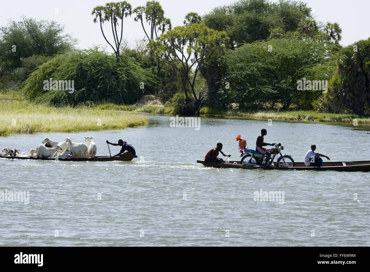 Canoeing in Komadougu river near Chad lake. Niger Stock Photo
