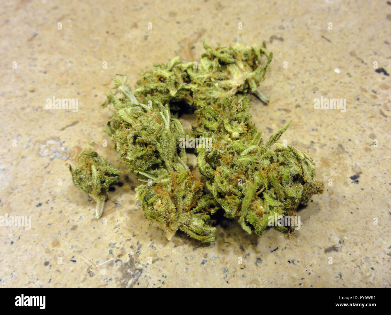 Small Marijuana nugs with lots of crystals granite countertop Stock Photo