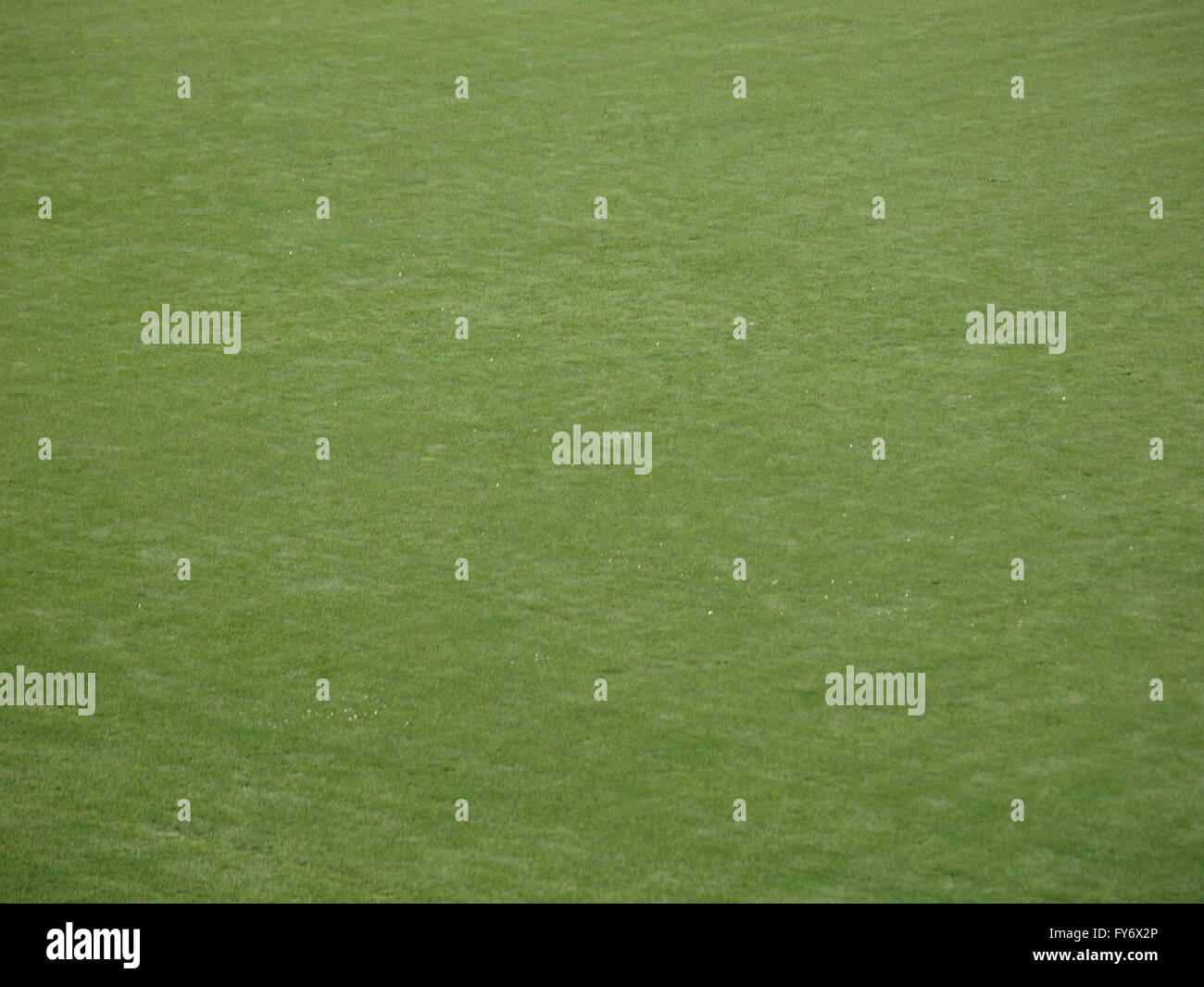 Well groomed professional Baseball Field Grass Stock Photo Alamy