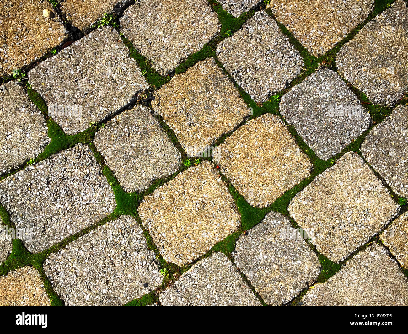 Square pavingstones. Stock Photo