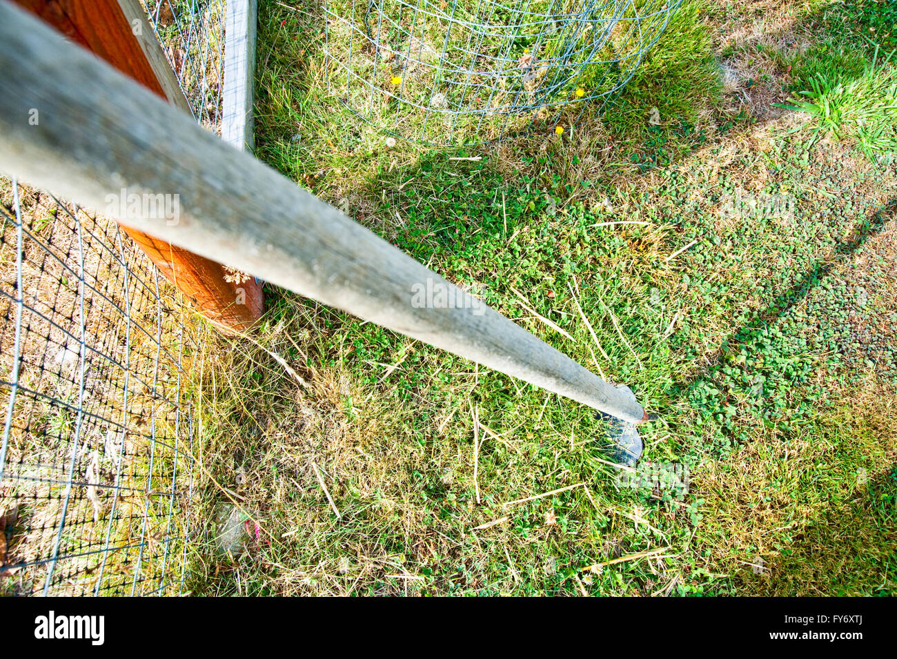 Garden hoe Stock Photo