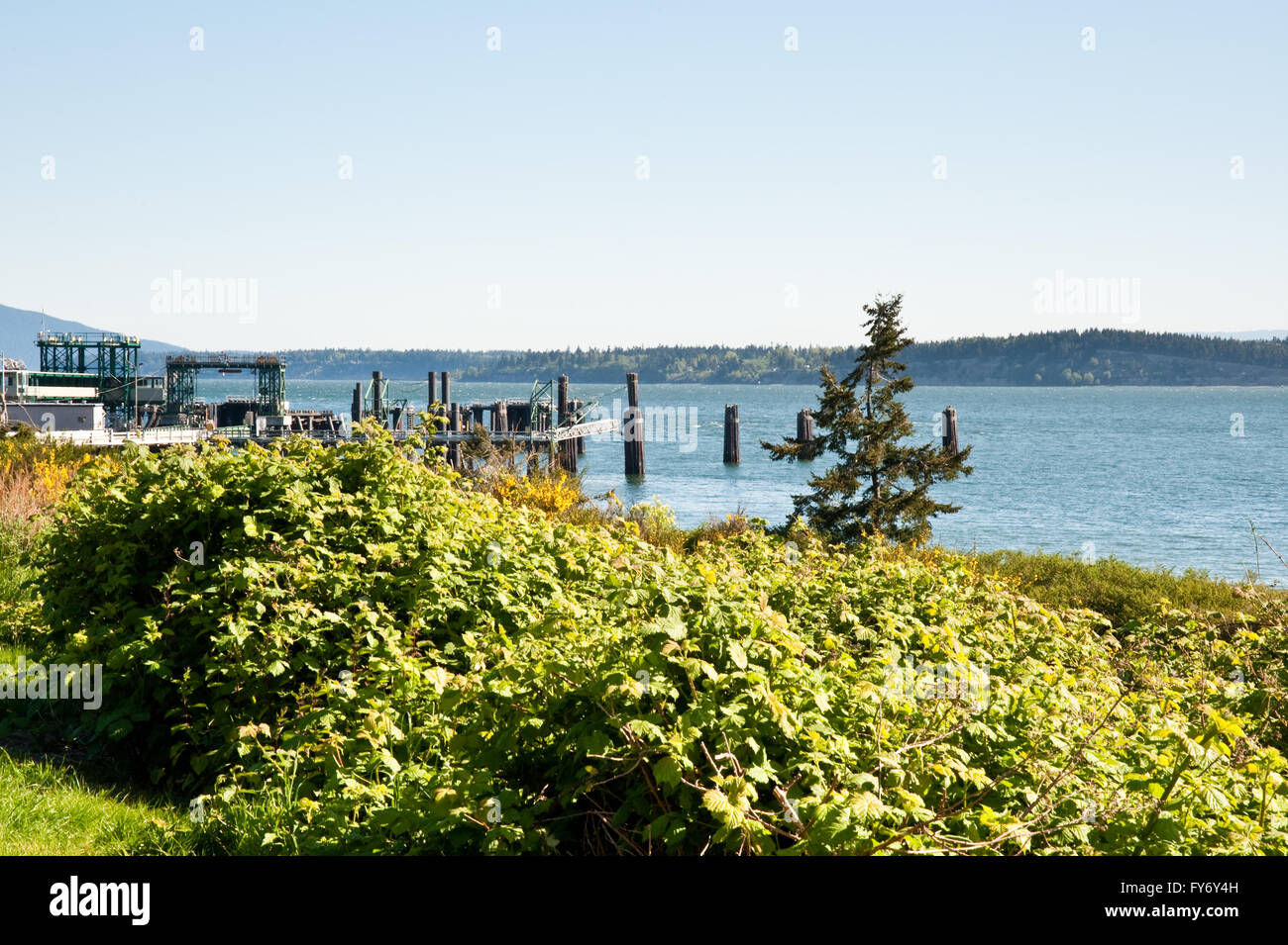 Anacortes washington dock hi-res stock photography and images - Alamy