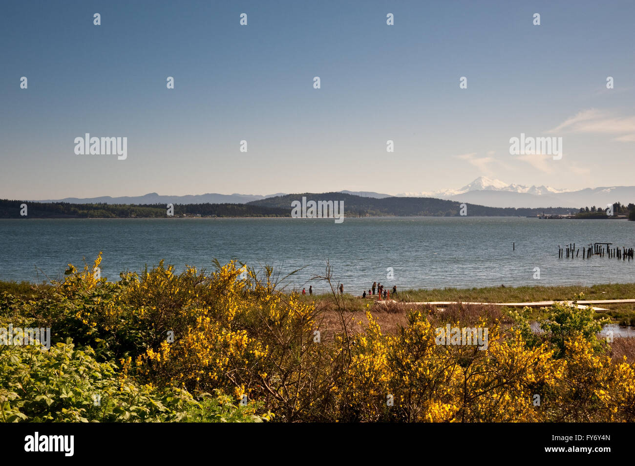 Anacortes Washington Dock High Resolution Stock Photography and Images ...