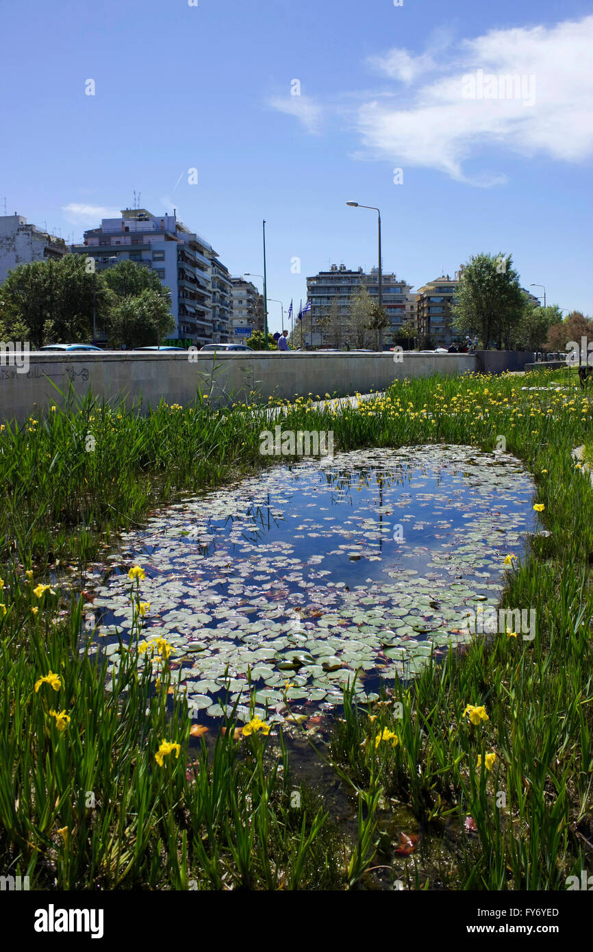 The Garden of Water recreational park and its pond full of lily pads, in Thessaloniki's New promenade. Central Macedonia, Greece Stock Photo