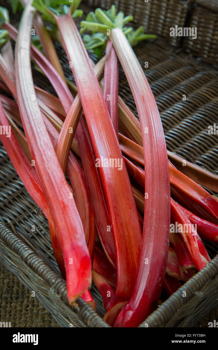 Freshly cut organic rhubarb pieces Stock Photo