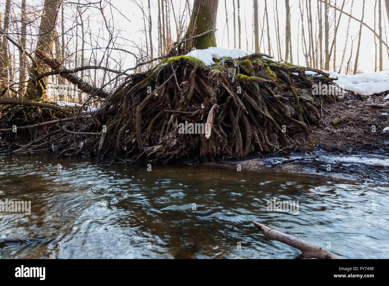 windbreakage on polluted river in spring Stock Photo