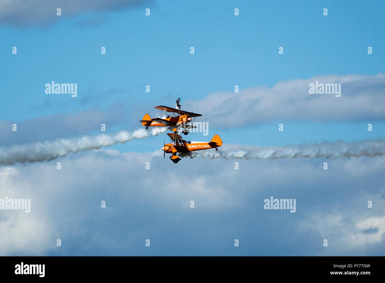 Bull walkers hi-res stock photography and images - Alamy