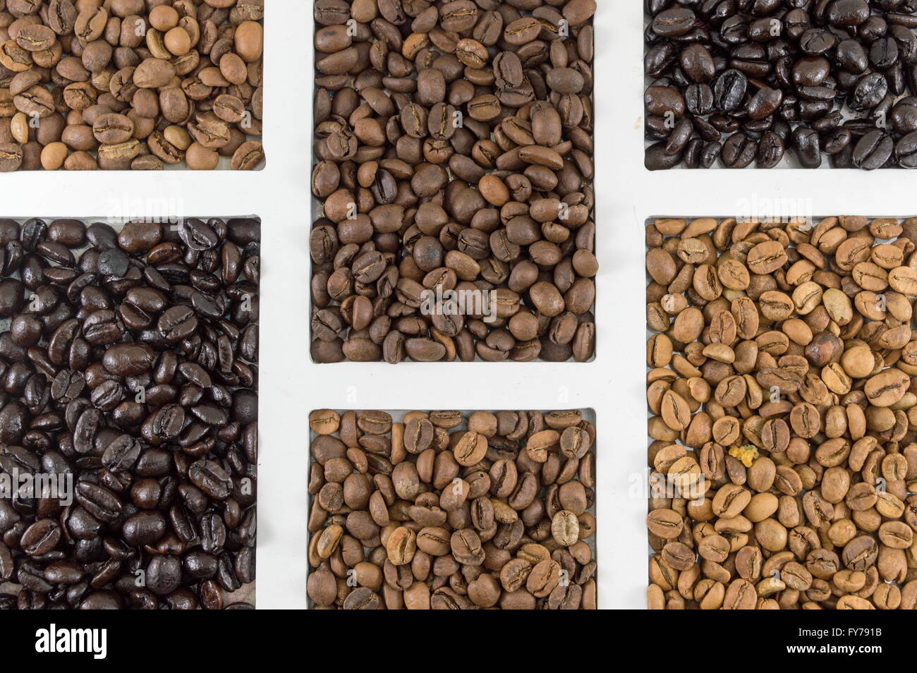 different types of coffee grains in white container shot flat Stock Photo