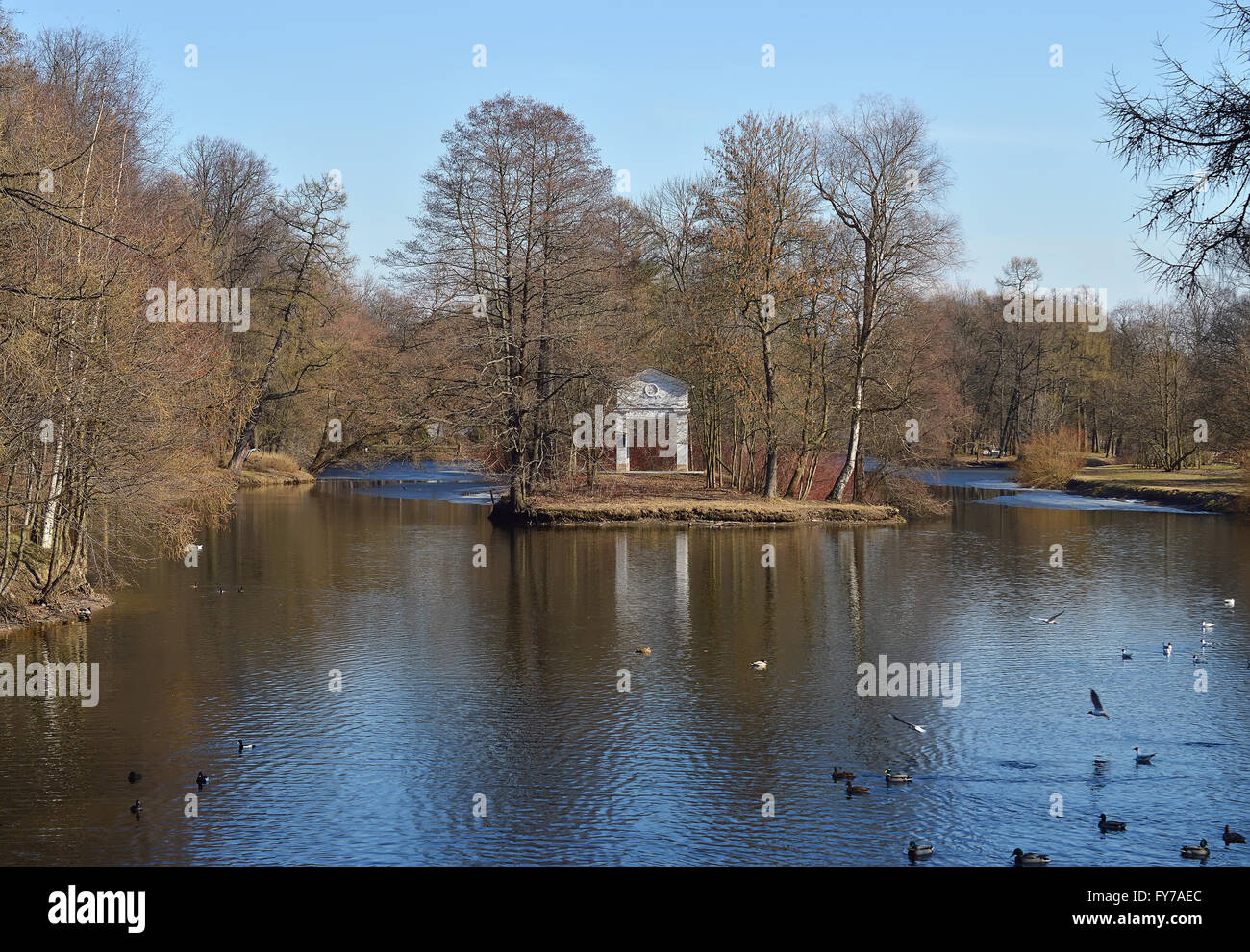 Park with a pond hi-res stock photography and images - Alamy