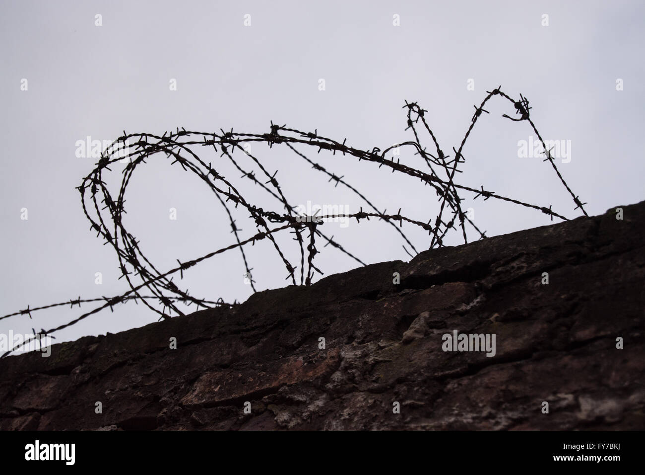 Barbed wire atop of a wall Stock Photo - Alamy