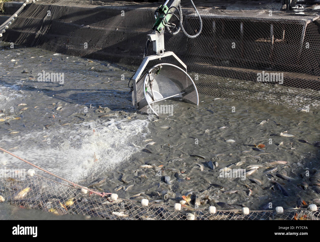 fishing hires stock photography and images Alamy