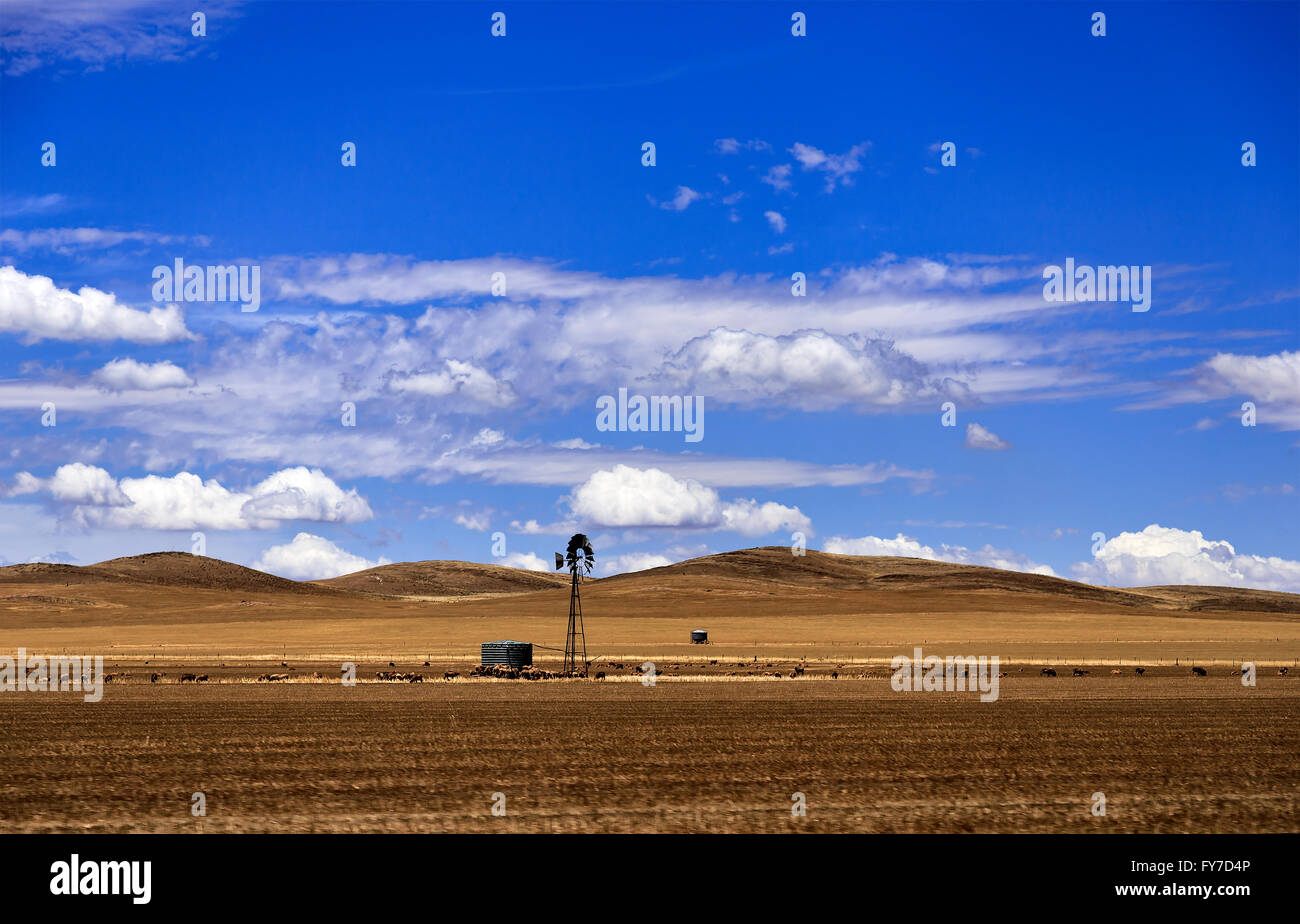 lonely windmill with propeller and reservoir supplying water for sheeps paddock in remote farm field of south Australia Stock Photo