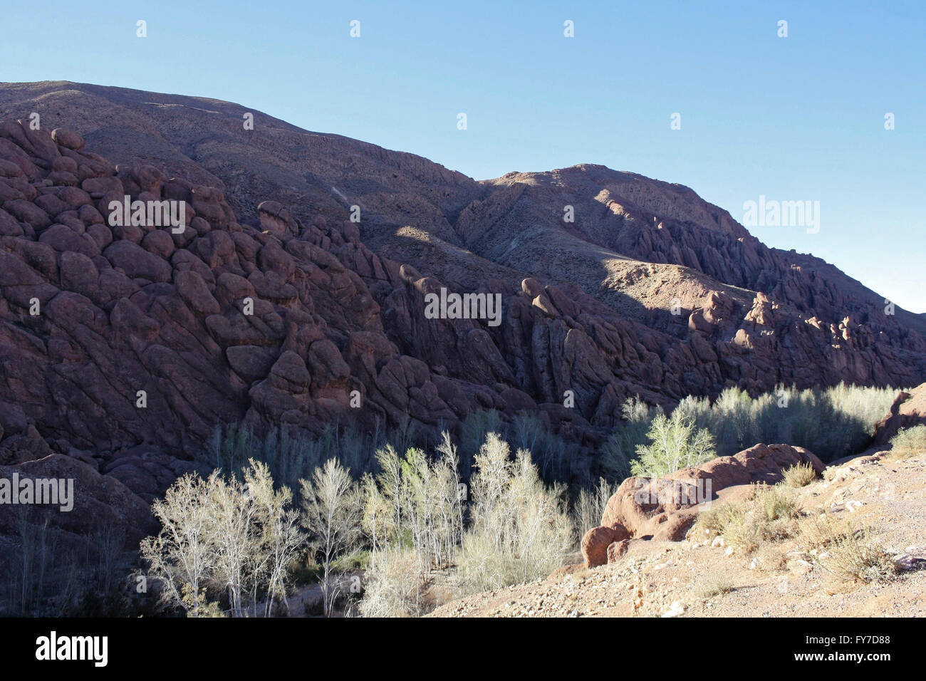 Houses and landscape in the morning in a valley near the Dadès River in Morocco. Stock Photo