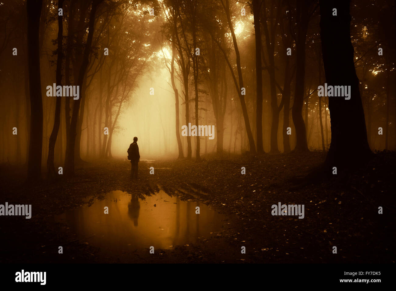 Man foggy forest hi-res stock photography and images - Alamy