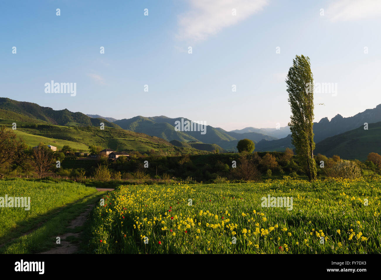 Eurasia, Caucasus region, Armenia, Tavush province, Chinari, rural scenery Stock Photo