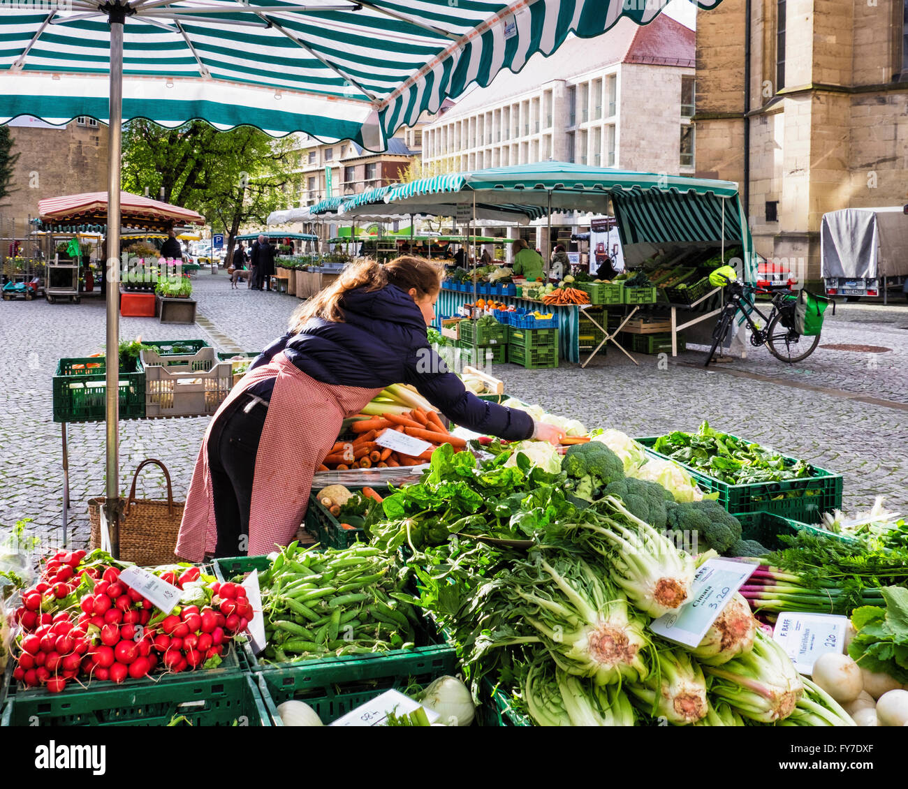 Woman sells vegetables on the market hires stock photography and