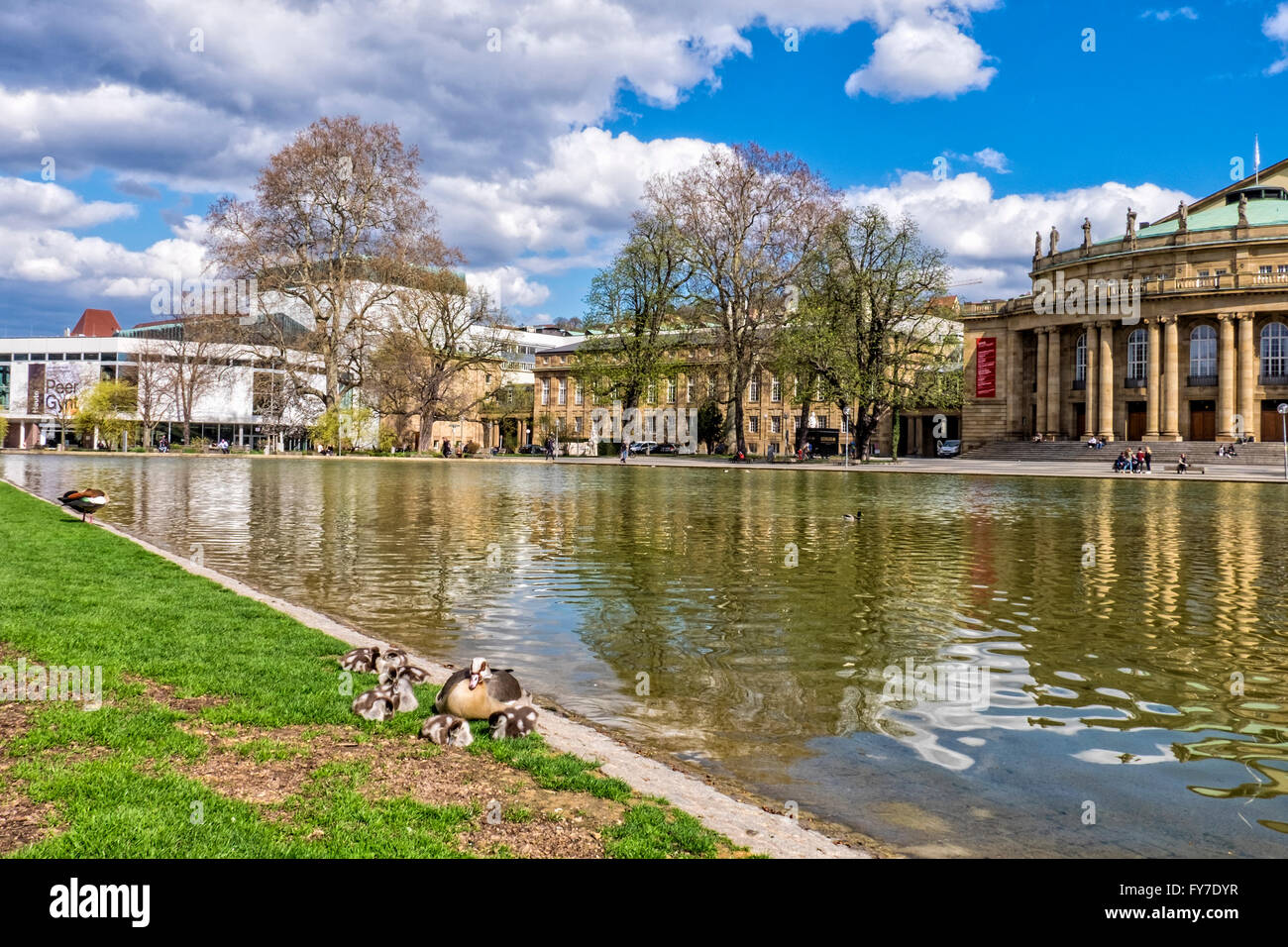 Stuttgart Staatstheater, State Theatre, Egyptian goose and goslings next to Eckensee lake, Schlossgarten in Spring Stock Photo