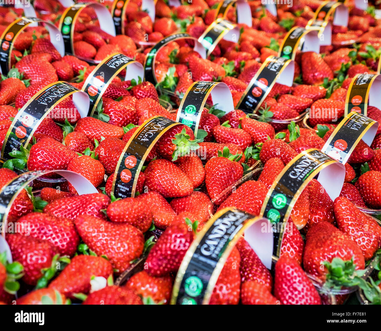 of fresh red strawberries at Farmer's market, Stuttgart, Baden