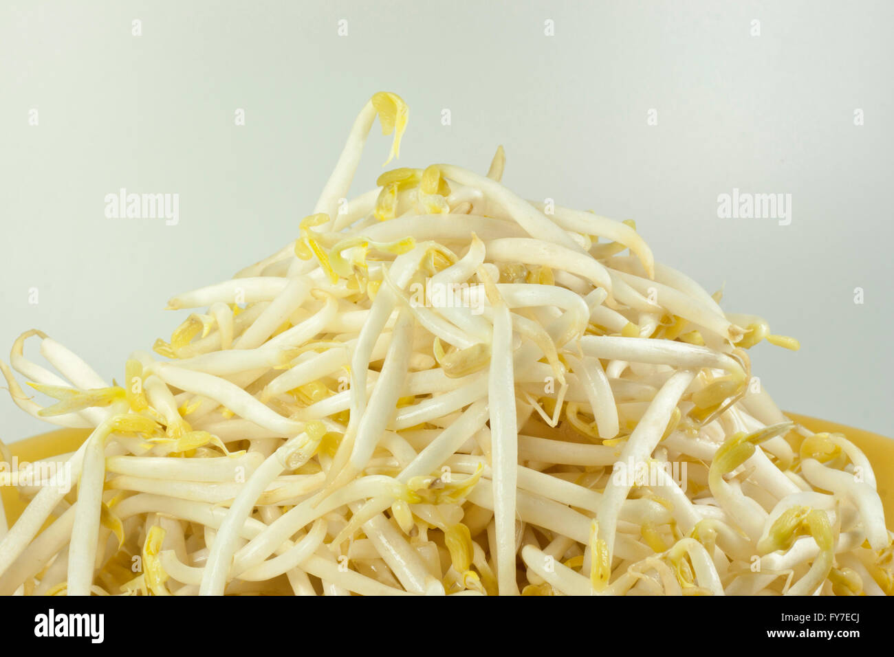 bean sprouts is main ingredient for menu noodle in thailand Stock Photo