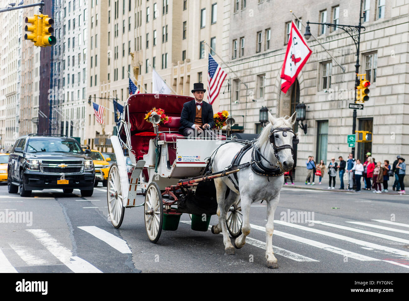 New York, NY 31 March 2016 - White carriage horse trotting west on Central Park South. Stock Photo