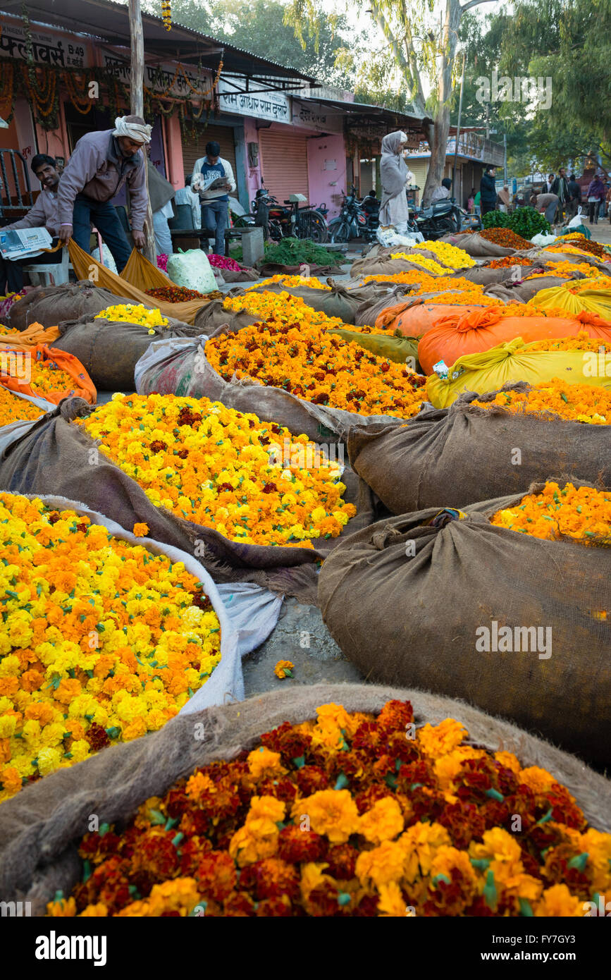 Flower market in Jaipur Stock Photo Alamy