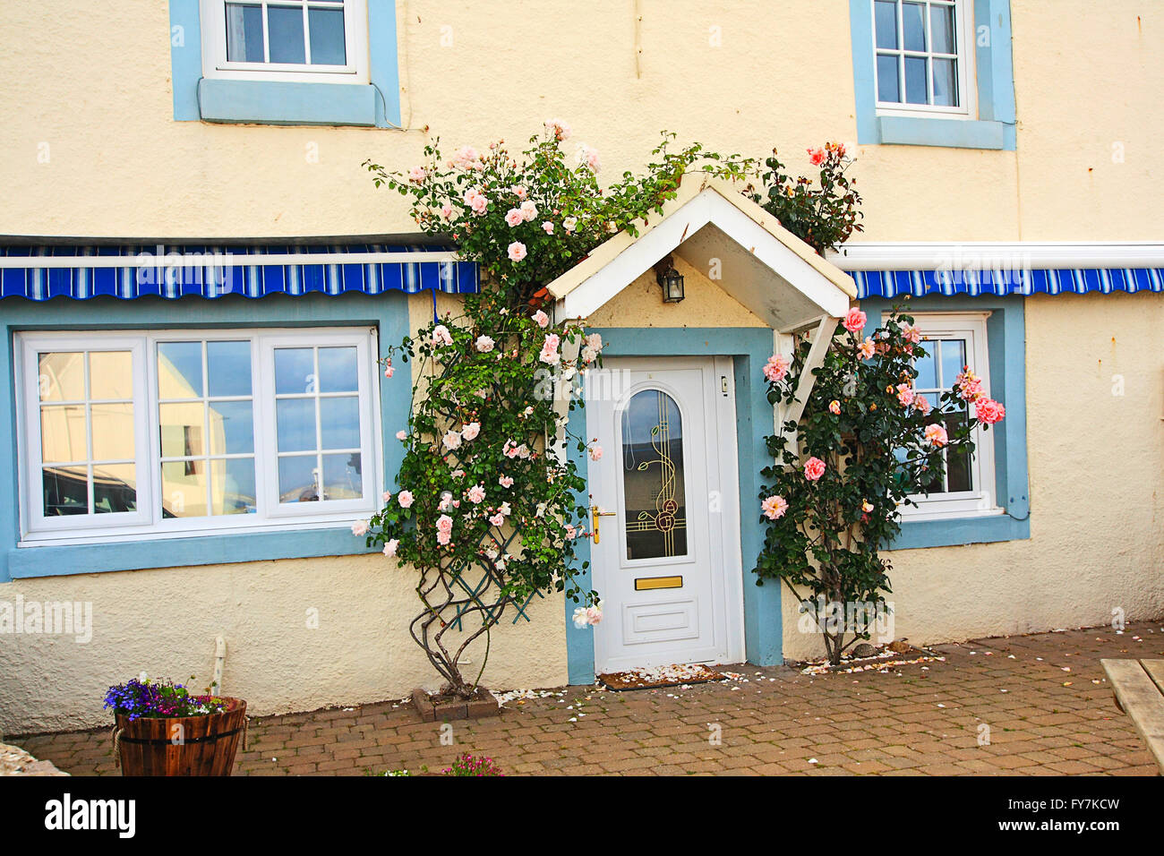 Beautiful house with climbing roses Stock Photo - Alamy