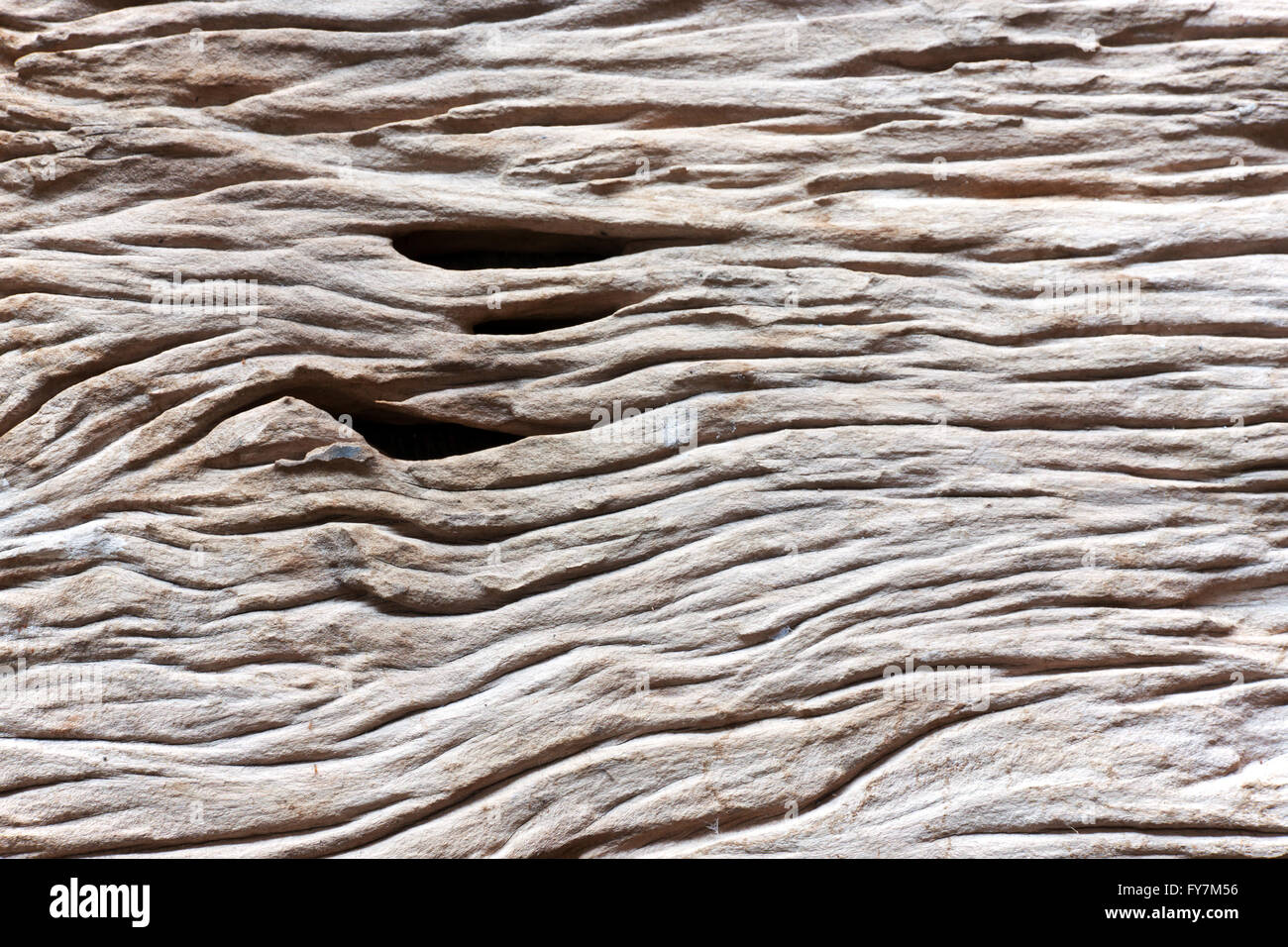 Rough natural wood. Corrosion show sub surface over time. Flat Lay Stock Photo