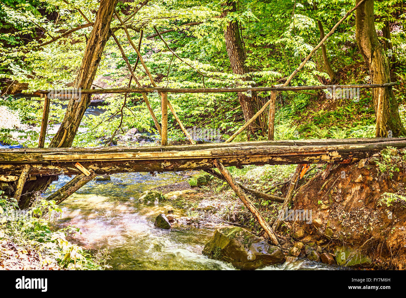 Lateral view of a bridge made of wood in the forest, over a creek. Stock Photo
