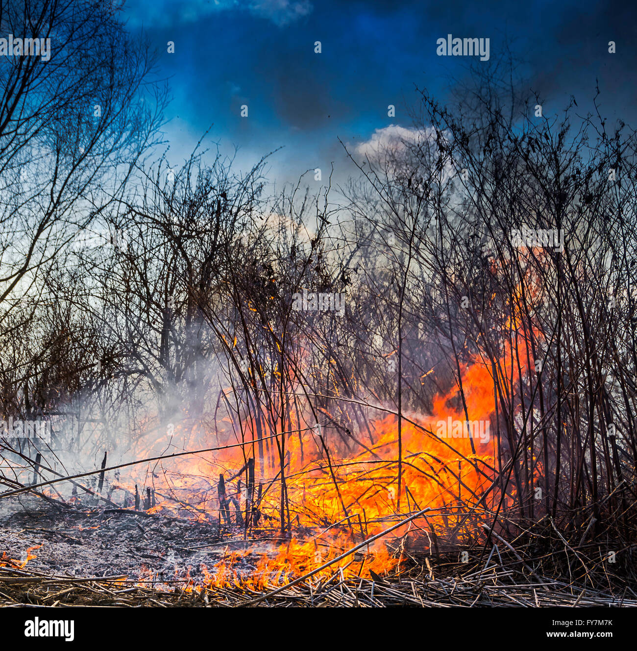 Wildfire burning the dry vegetation in the field with the flames and smoke rising to the sky. Stock Photo