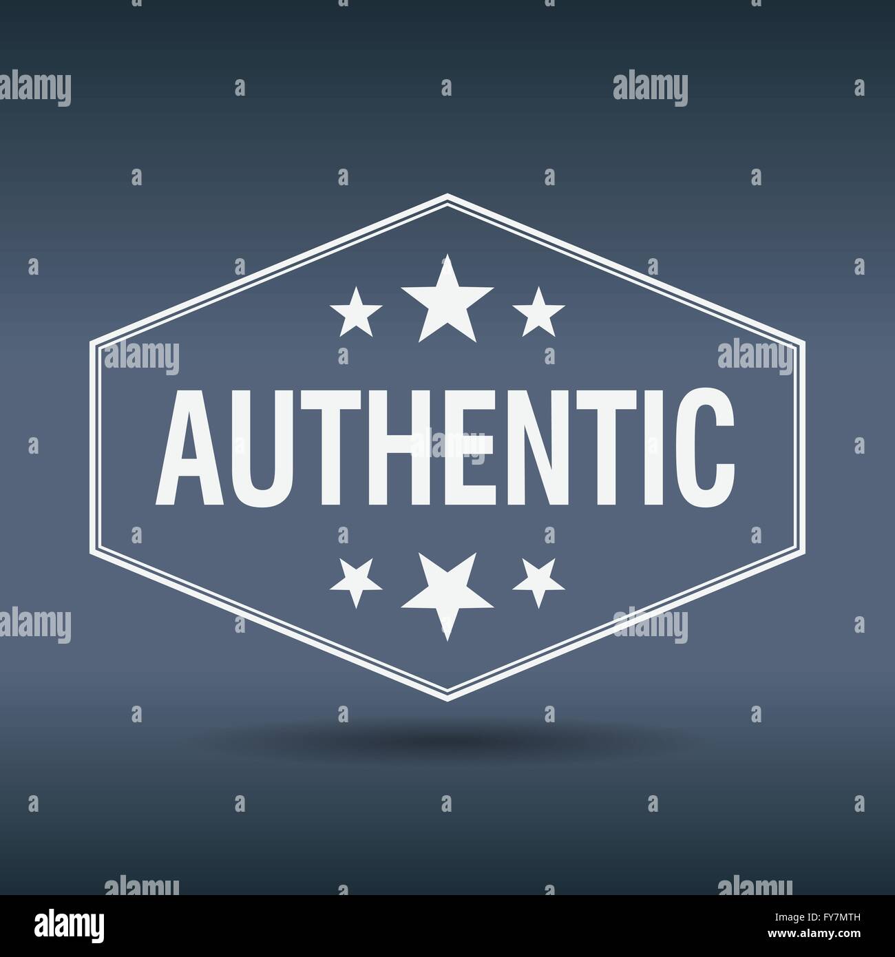 authentic hexagonal white vintage retro style label Stock Vector Image ...