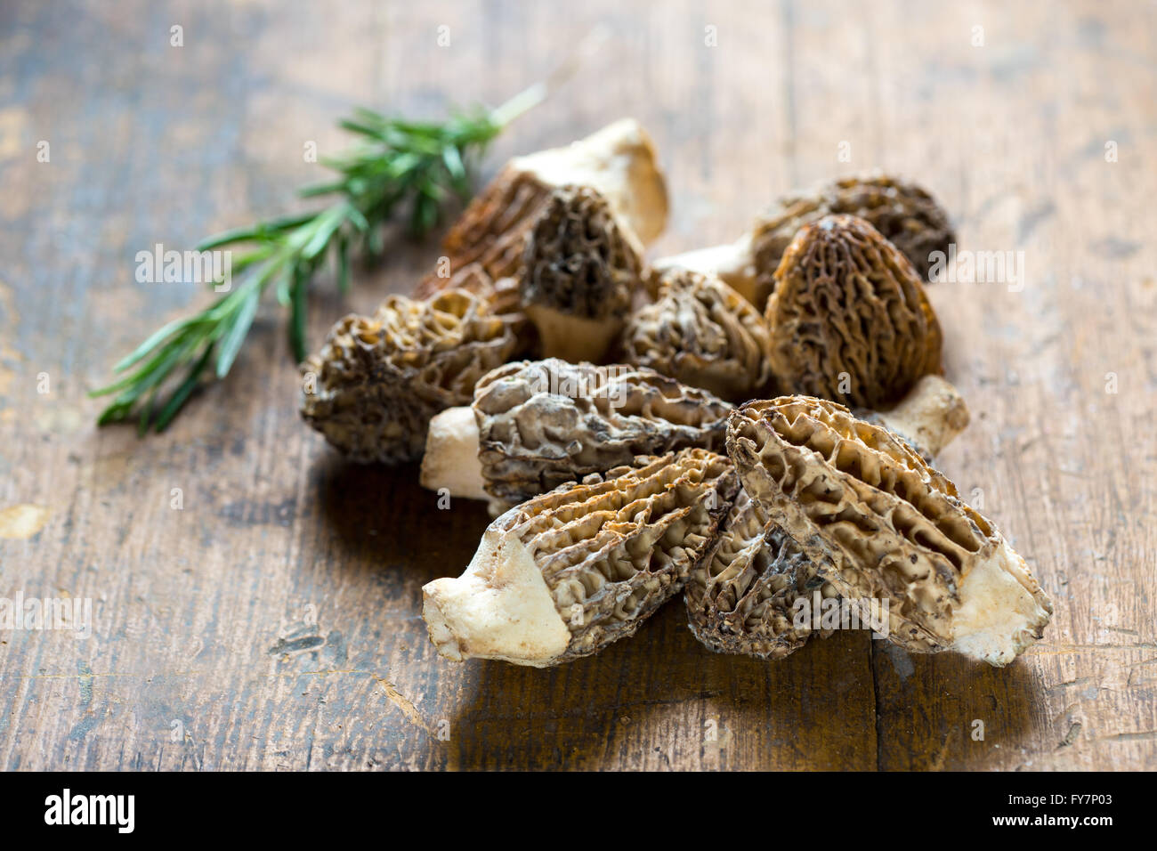Fresh Morelle Mushrooms on rustic background Stock Photo