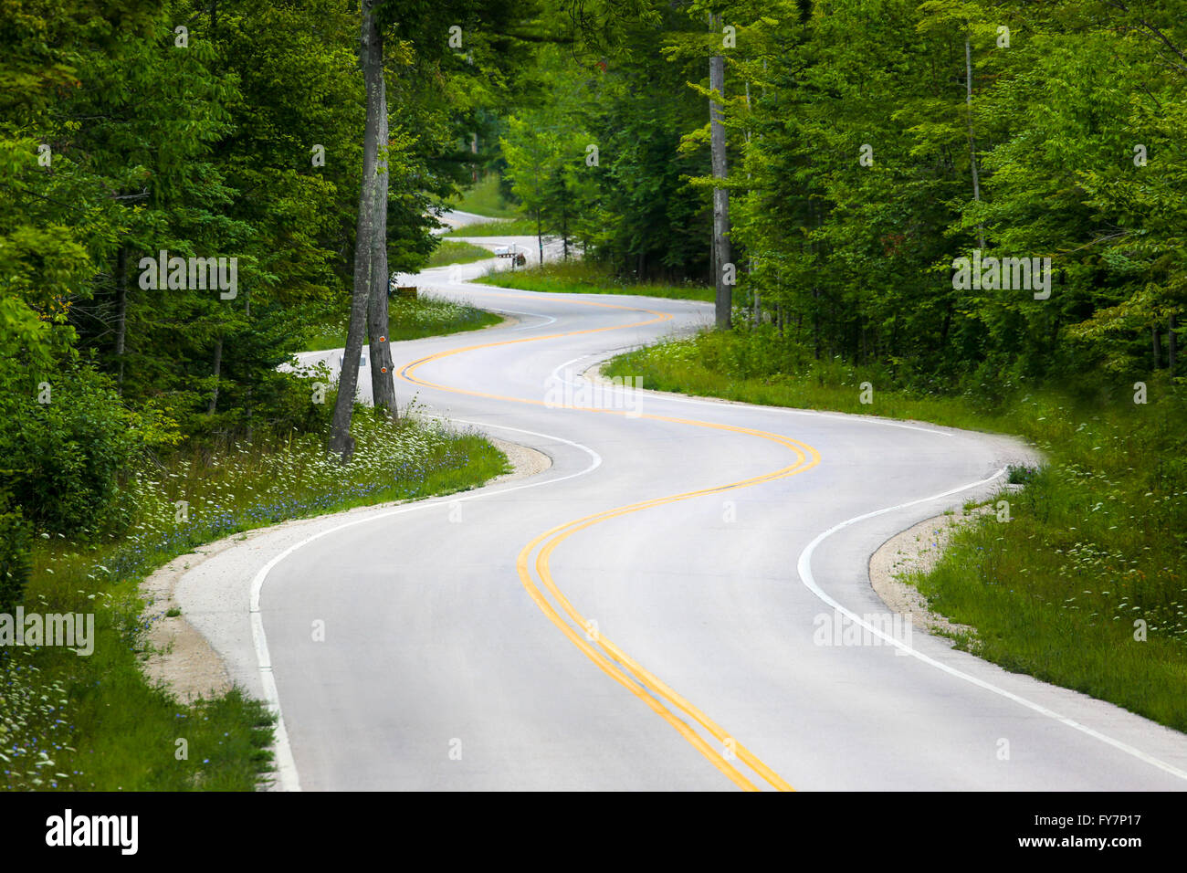 Winding road in a forest in Wisconsin Stock Photo