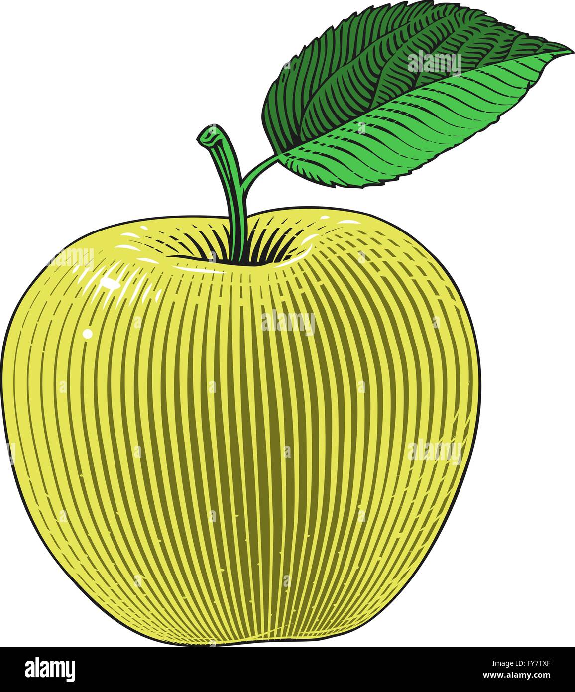 Apple in engraving style Stock Vector