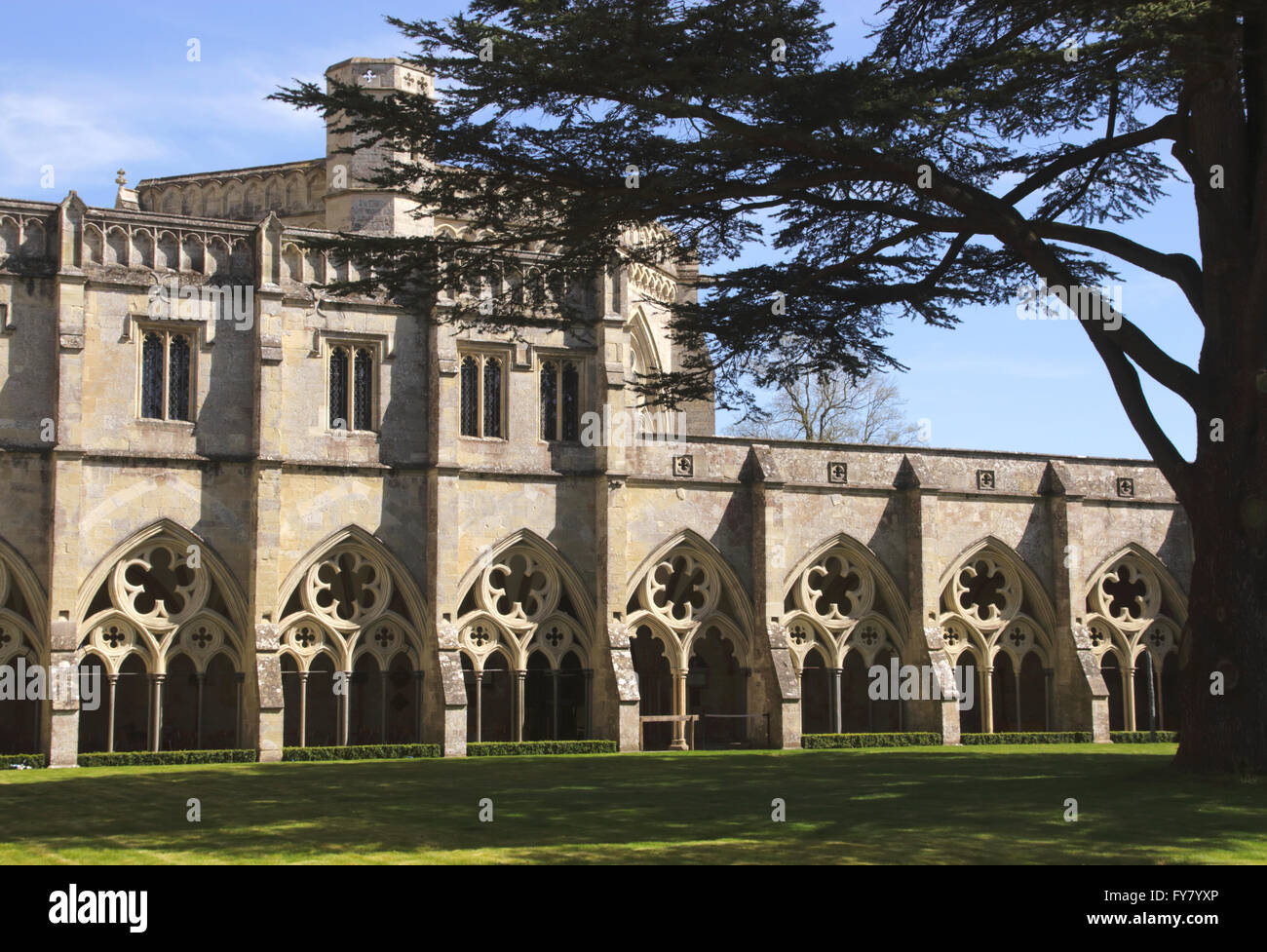 Cloisters in Salisbury Cathedral Wiltshire England Stock Photo