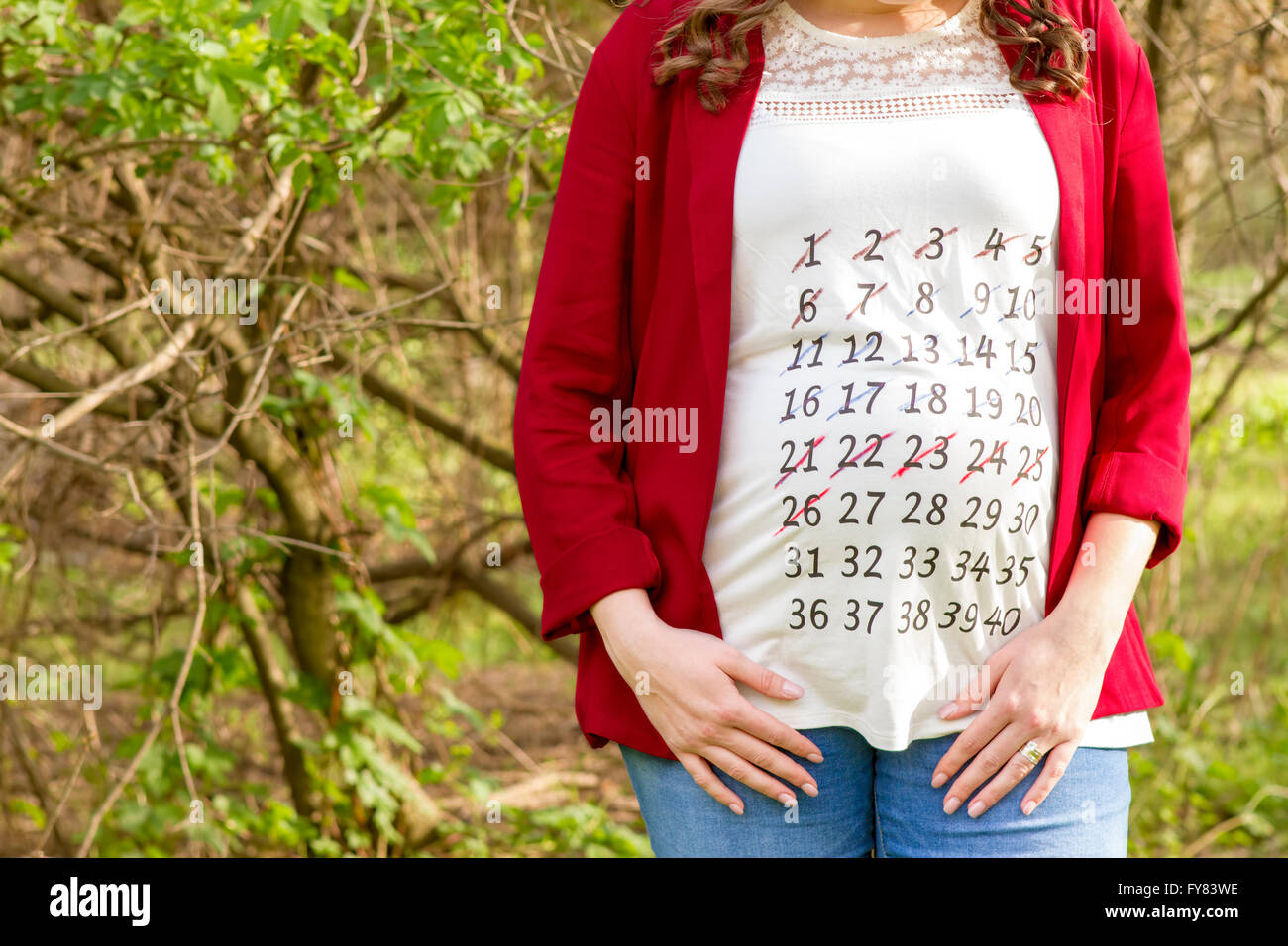 Pregnant woman in red jacket with calendar on her T-shirt outdoor in the park. Stock Photo