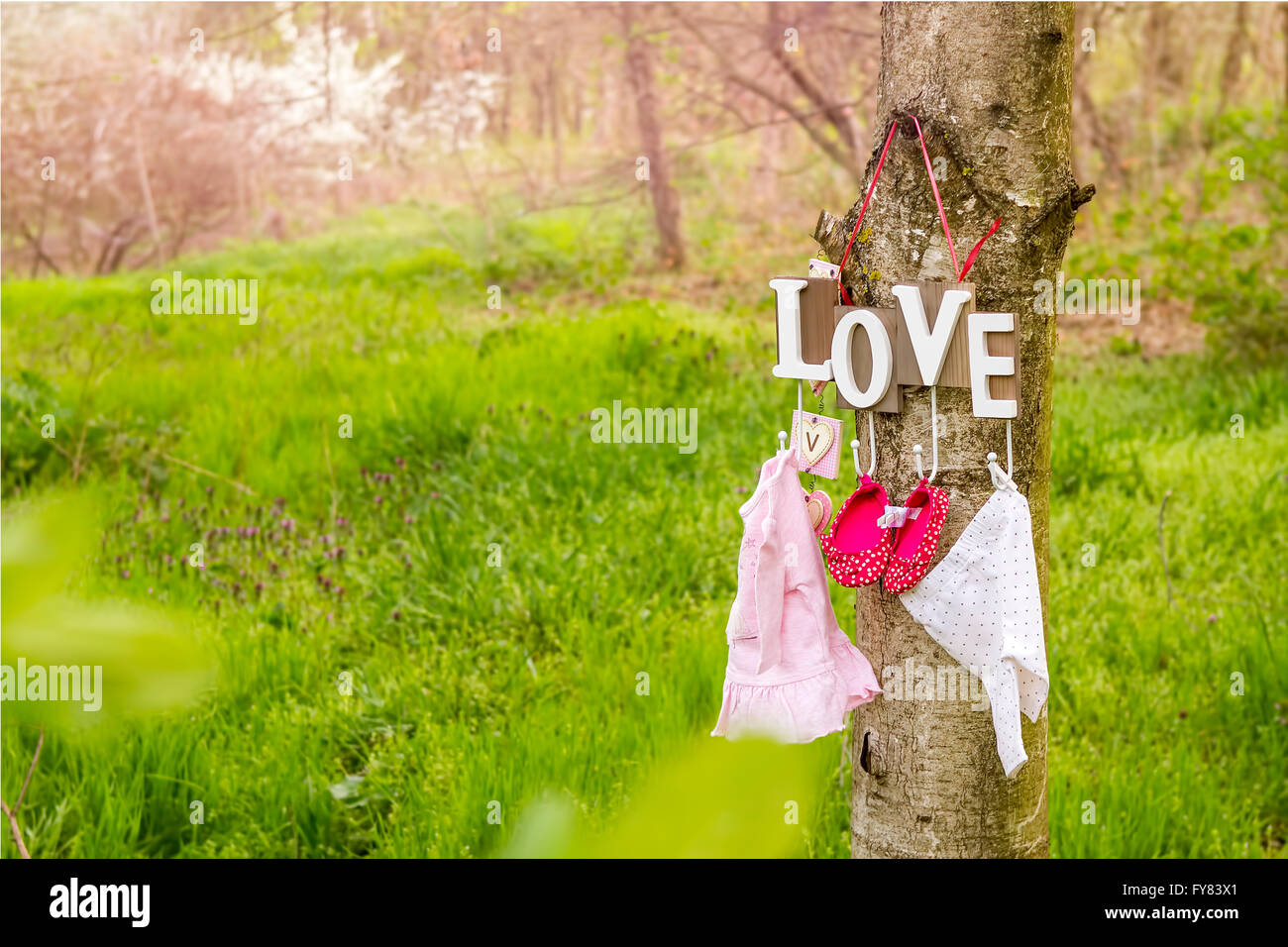Pink baby shoes and dress hanging from a love text on the tree Stock Photo