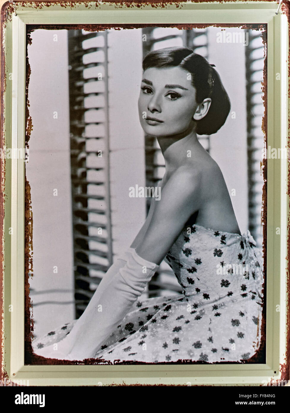 Audrey Hepburn. Vintage metallic plaque photograph of screen icon Audrey Hepburn Stock Photo Alamy