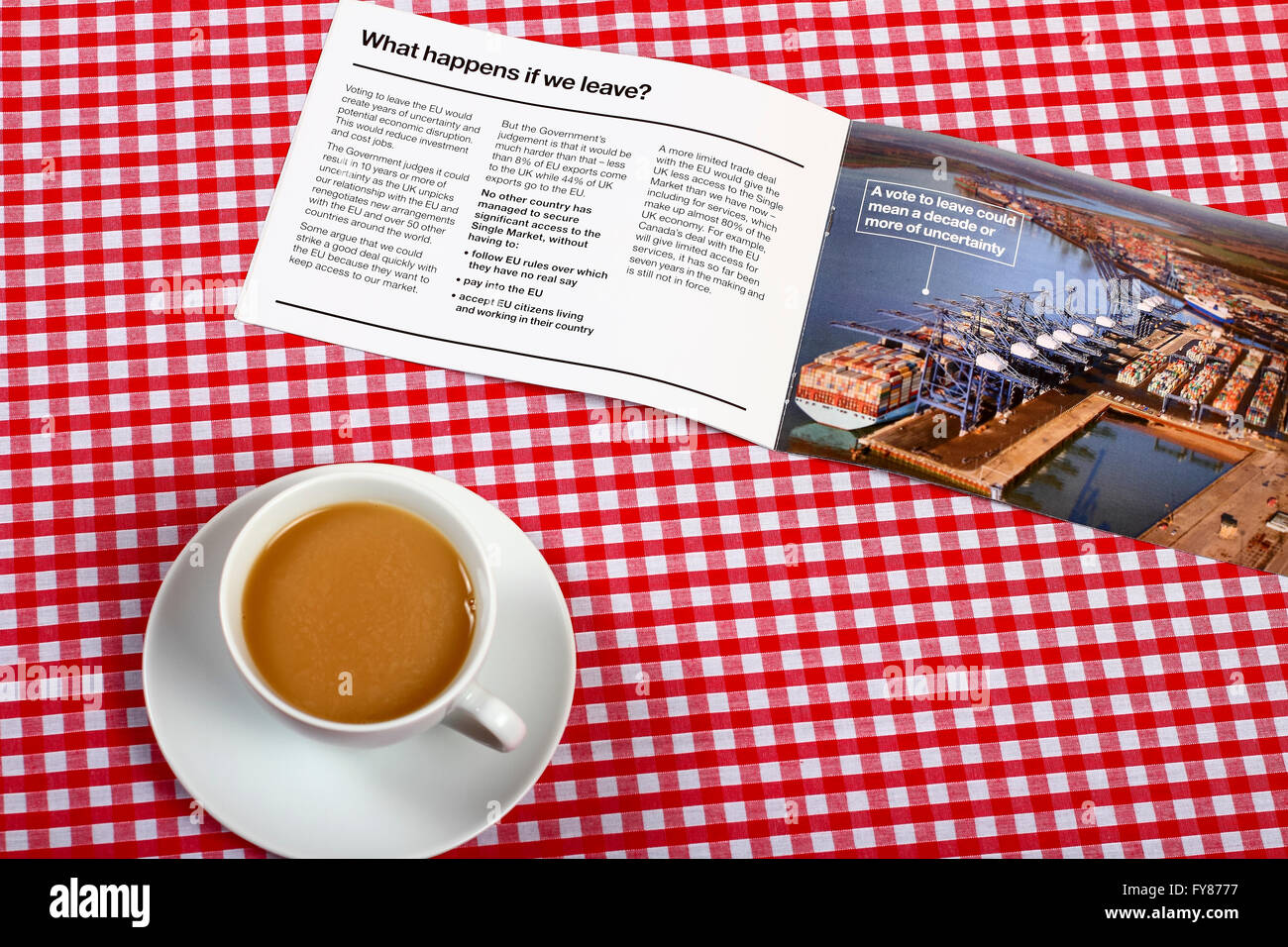 Eu Referendum Leaflet Stock Photo Alamy