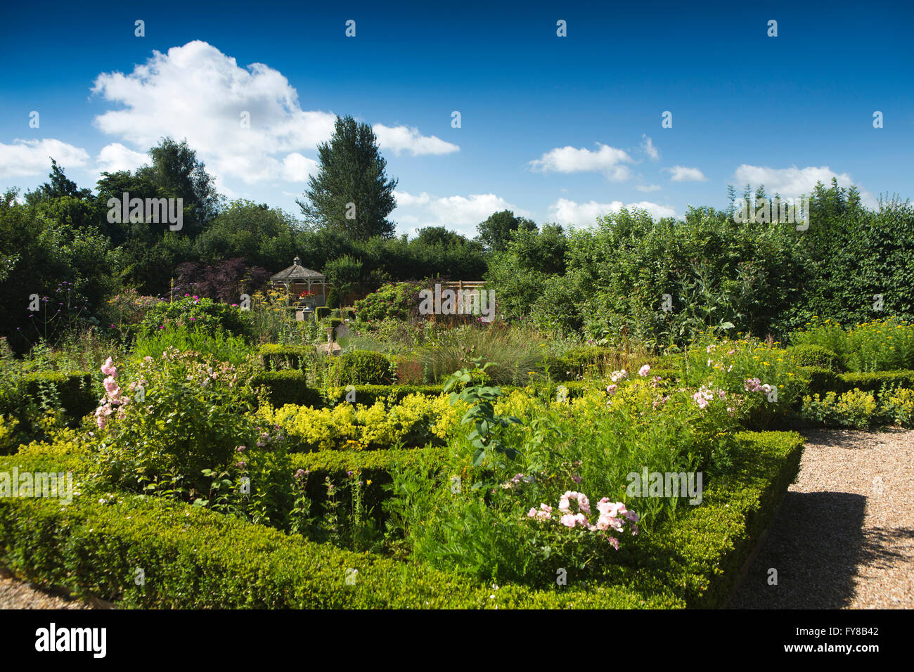 UK, Kent, Smallhythe, Chapel Down Vineyard, herb garden Stock Photo