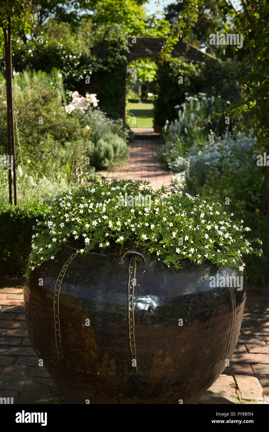UK, Kent, Sissinghurst Castle, White Garden, ceramic jar centrepiece planted with small white flowers Stock Photo