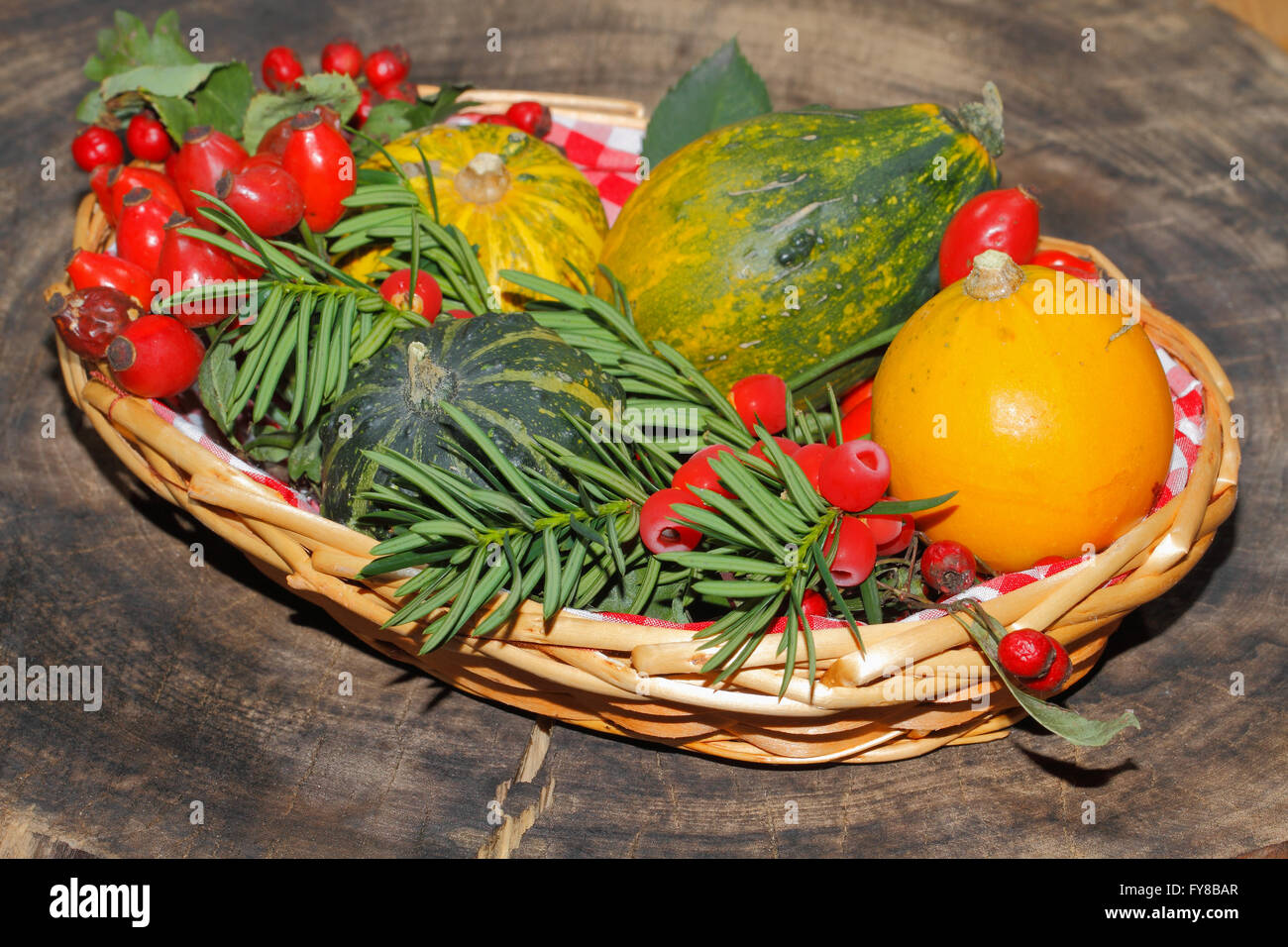 Autumn decoration, pumpkin, gourd, rose hips, berries of mountain ash and yew in a basket Stock Photo