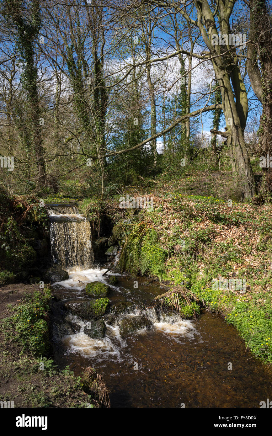 Rivelin Valley Spring A sunny spring day in the Rivelin valley near Sheffield. A place with ...